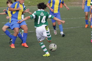 开云中国-逆转王者！哪些队伍在季后赛中实现了惊天逆转？